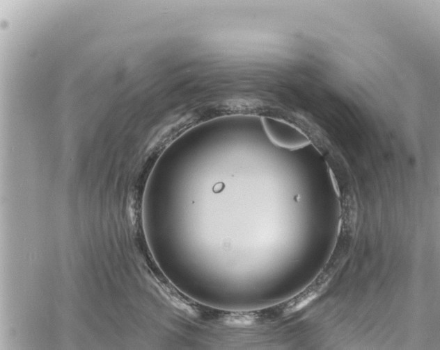 X0000060760762200511171148