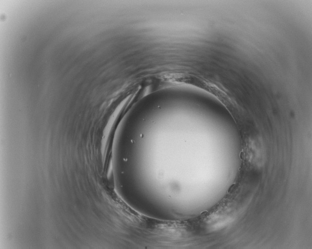 X0000060760763200511171148