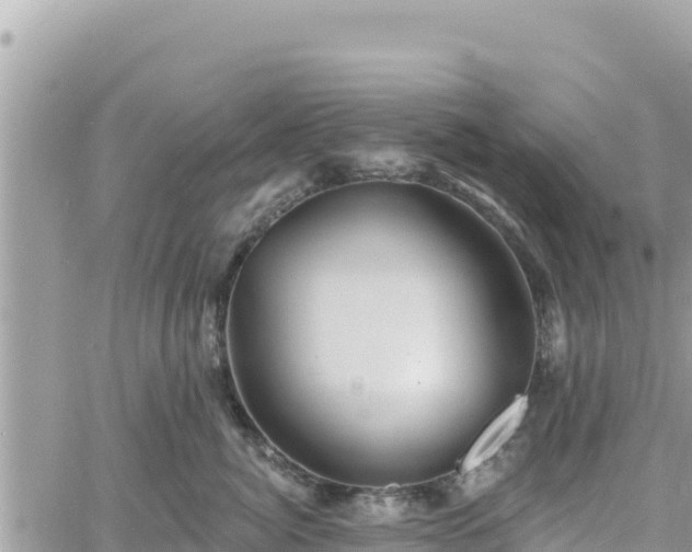 X0000060760764200511171148