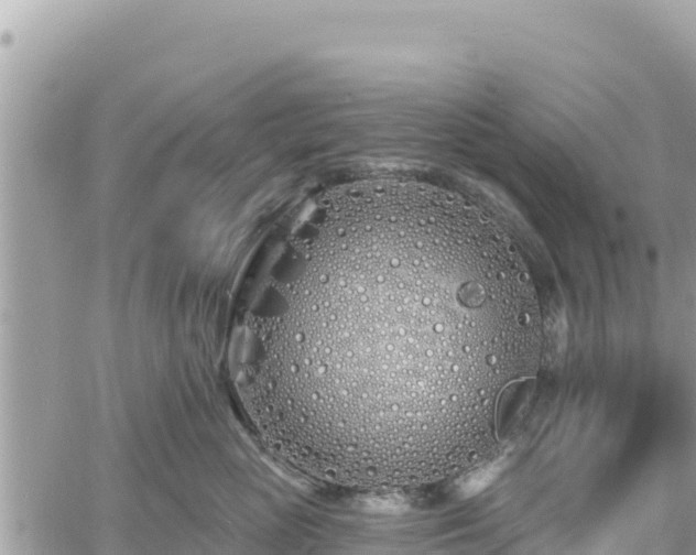 X0000060760765200511171148