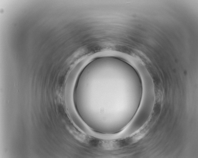 X0000060760766200511171148