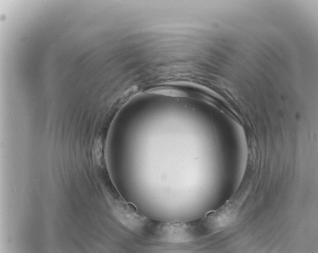 X0000060760767200511171148