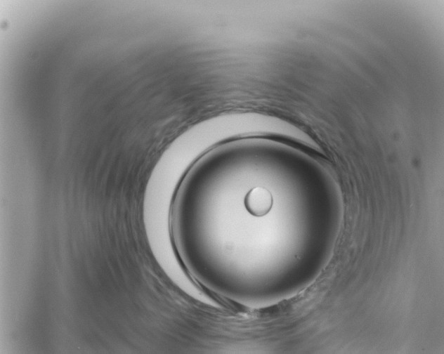 X0000060760768200511171148