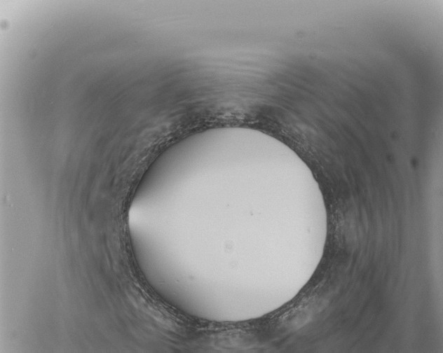 X0000060760769200511171147