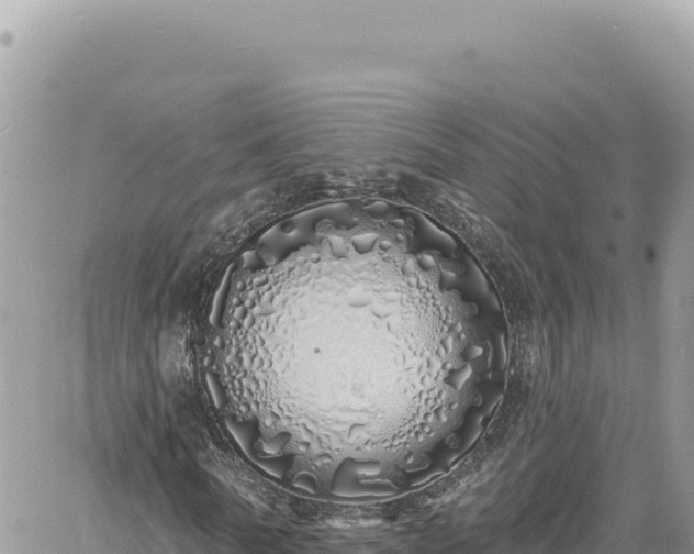 X0000060760770200511171147