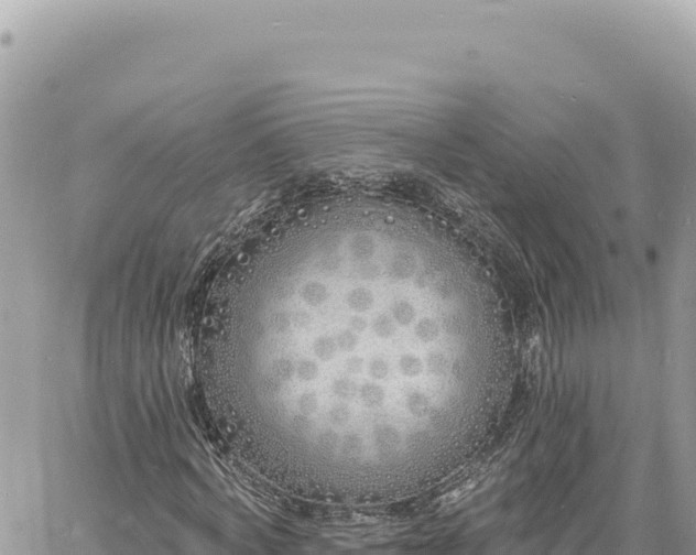 X0000060760772200511171147