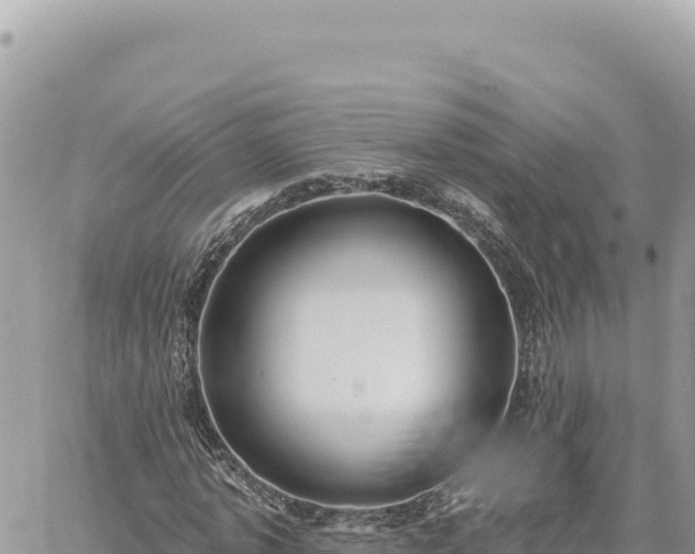 X0000060760773200511171147