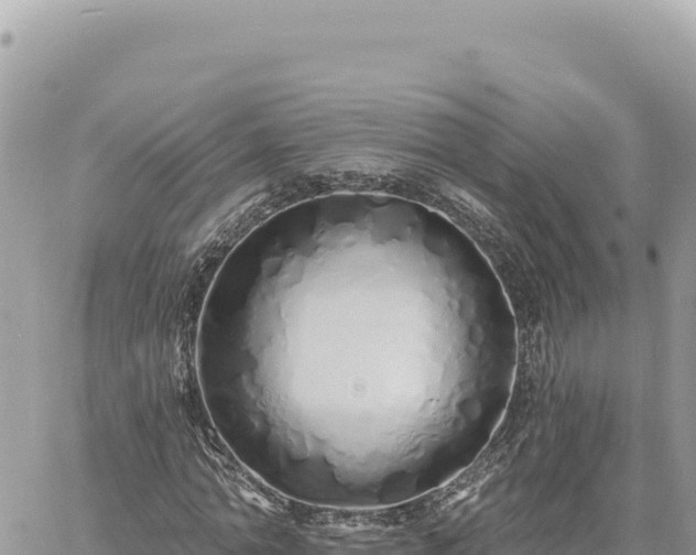 X0000060760774200511171147