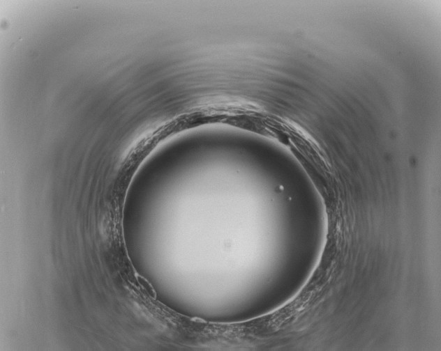 X0000060760775200511171147