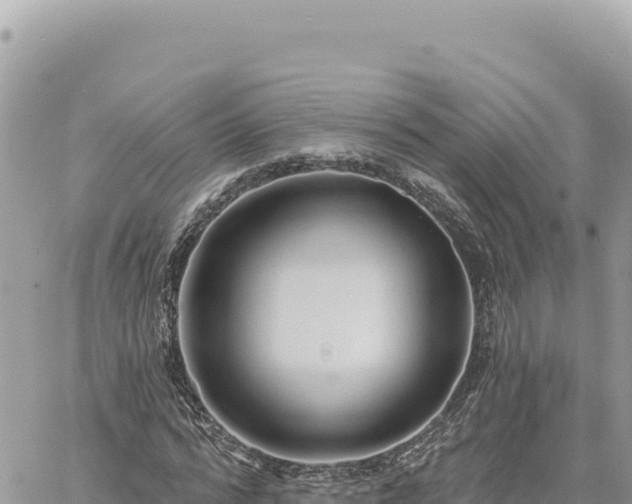 X0000060760776200511171147