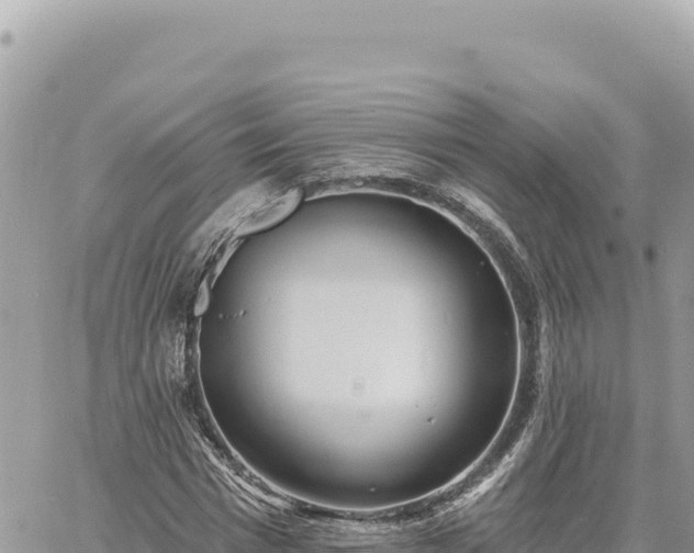 X0000060760777200511171147