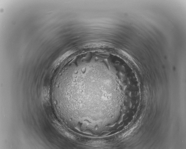 X0000060760778200511171147