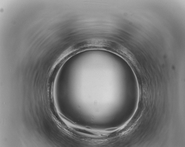 X0000060760779200511171147