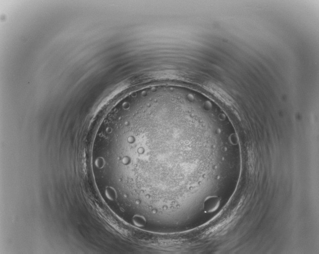 X0000060760782200511171147