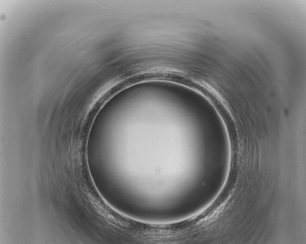 X0000060760783200511171147