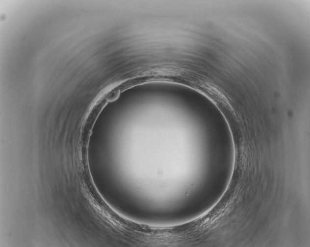 X0000060760784200511171147