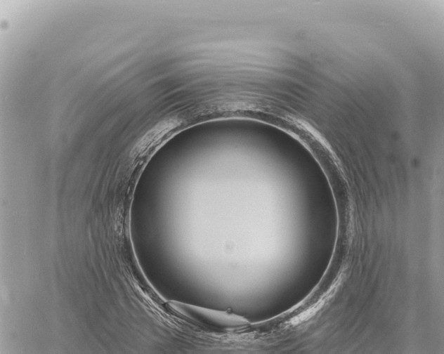 X0000060760785200511171147