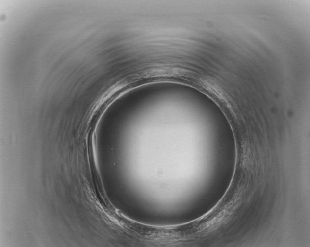 X0000060760786200511171147