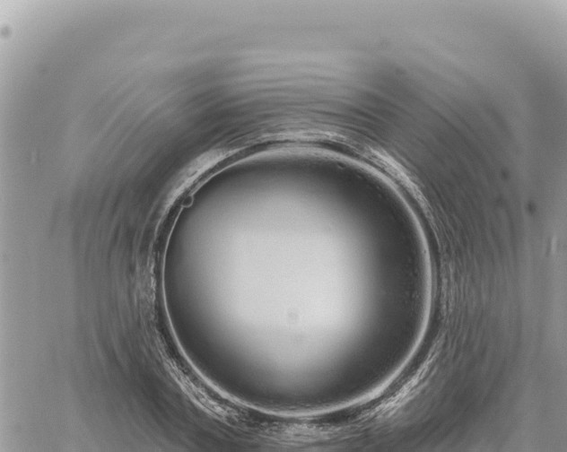 X0000060760787200511171147