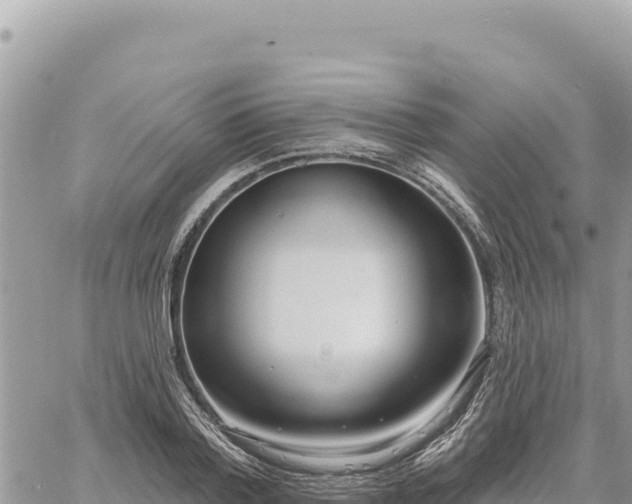 X0000060760788200511171147