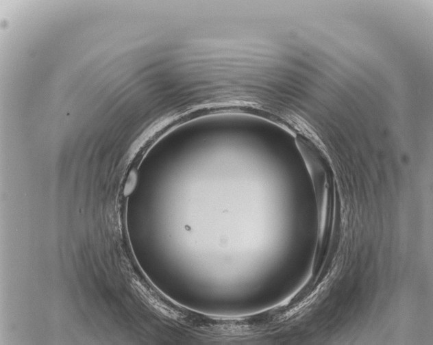 X0000060760789200511171147