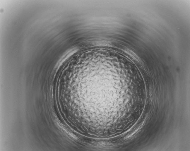 X0000060760790200511171147