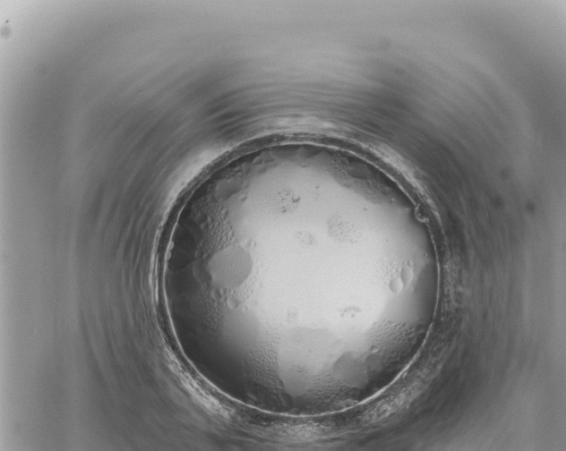 X0000060760791200511171147