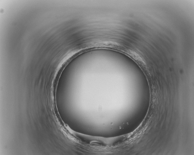 X0000060760792200511171147