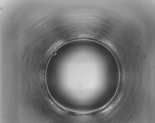 X0000060760793200511171147