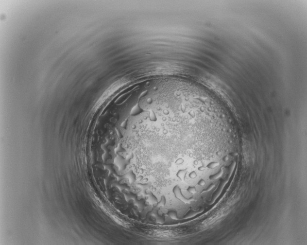 X0000060760794200511171146