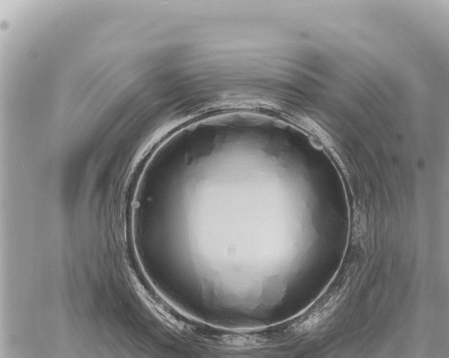 X0000060760795200511171146