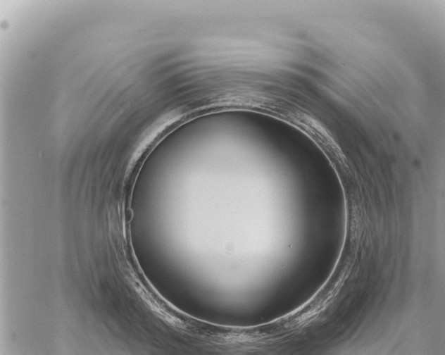 X0000060760796200511171146