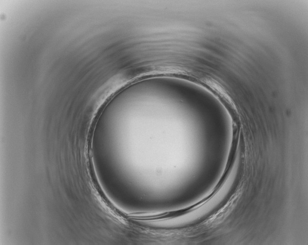 X0000060760797200511171146