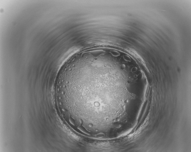 X0000060760798200511171146