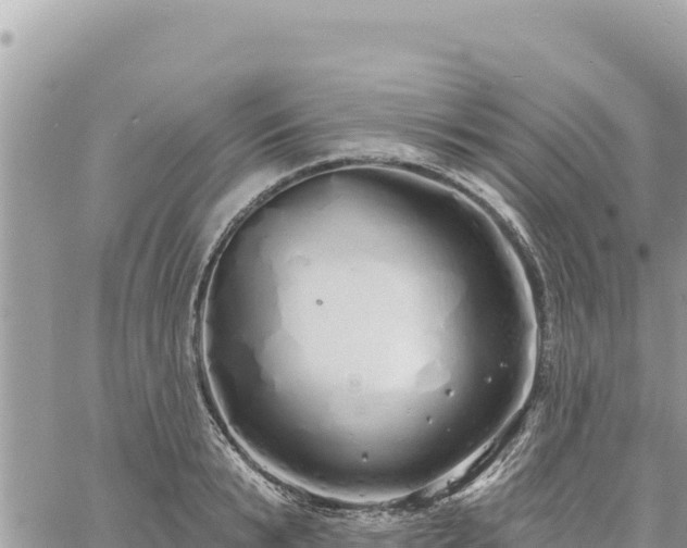 X0000060760799200511171146