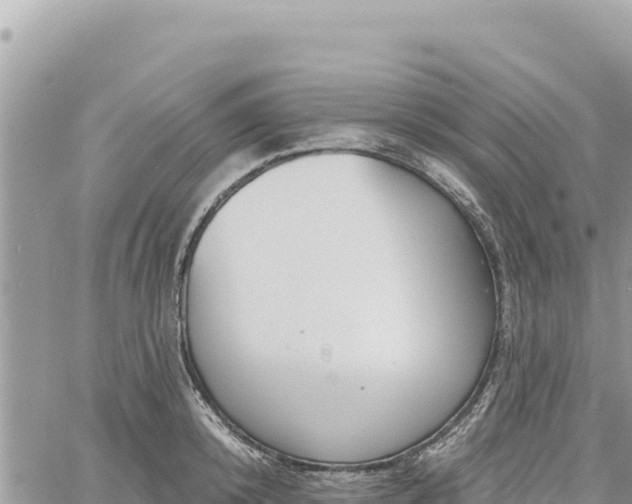 X0000060760800200511171146