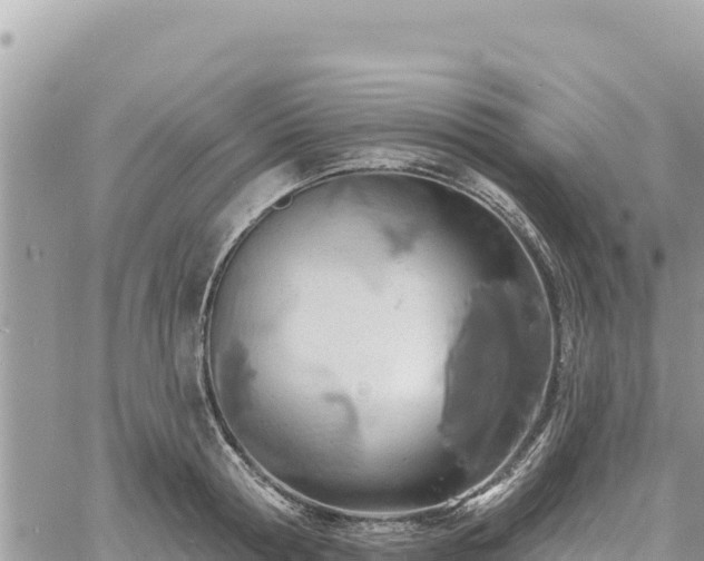 X0000060760802200511171146