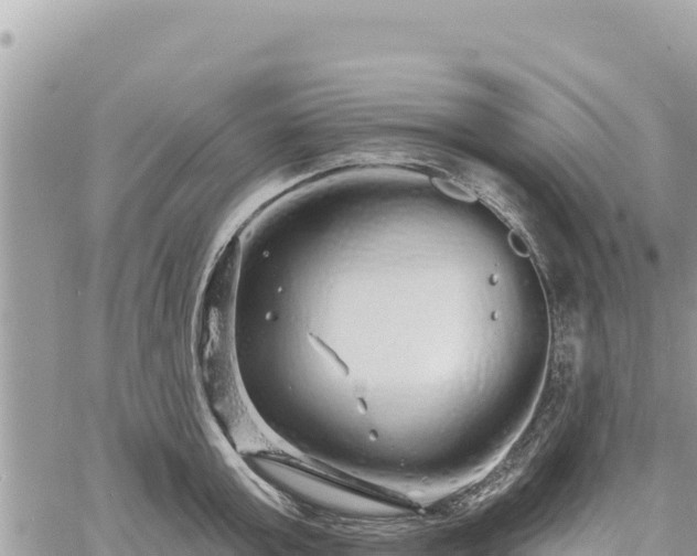 X0000060760803200511171146