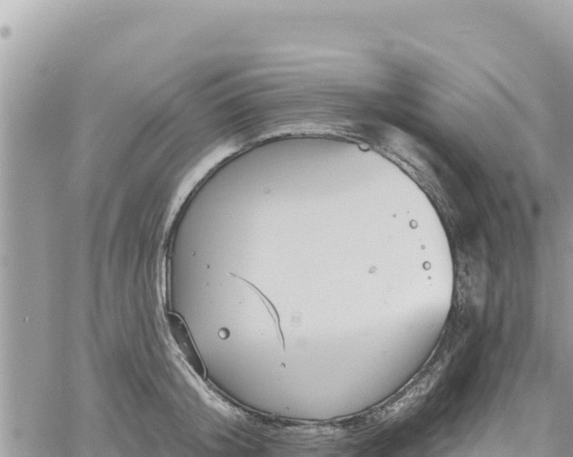 X0000060760804200511171146