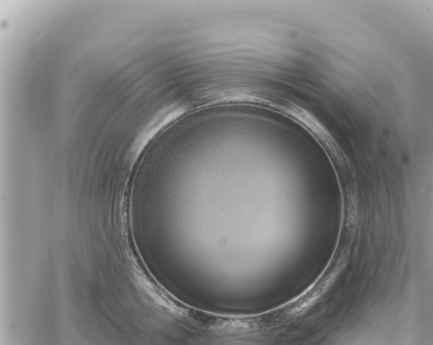 X0000060760806200511171146