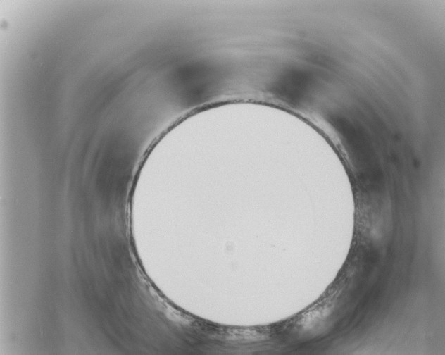 X0000060760807200511171146