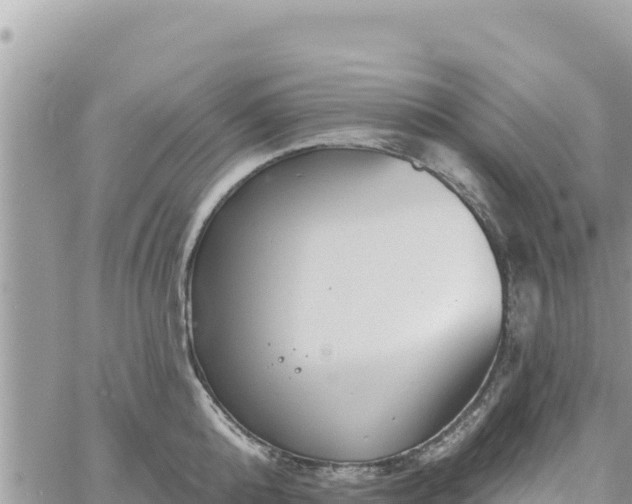 X0000060760808200511171146