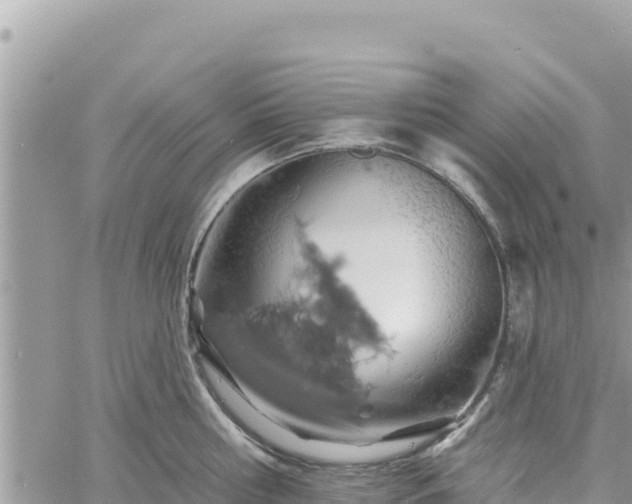 X0000060760810200511171146