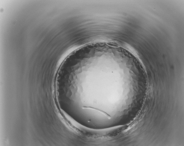 X0000060760811200511171146