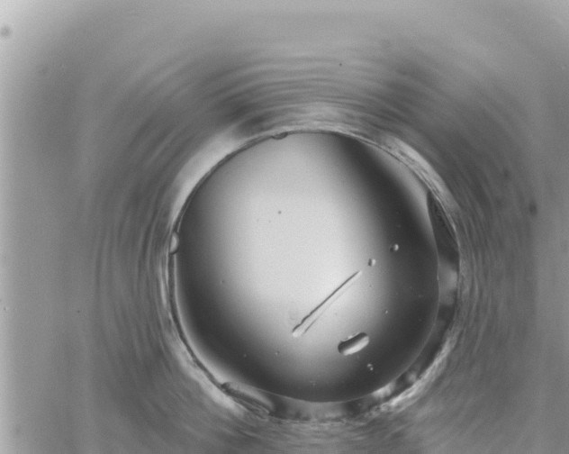 X0000060760812200511171146