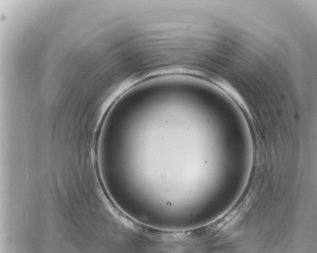 X0000060760813200511171146