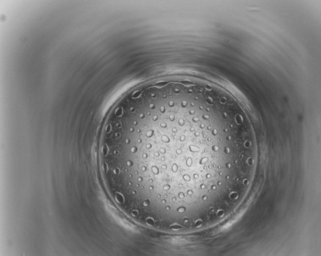 X0000060760814200511171146