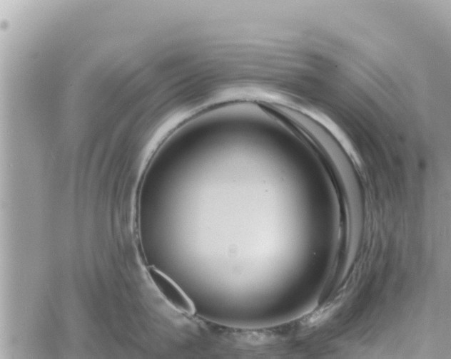 X0000060760815200511171146