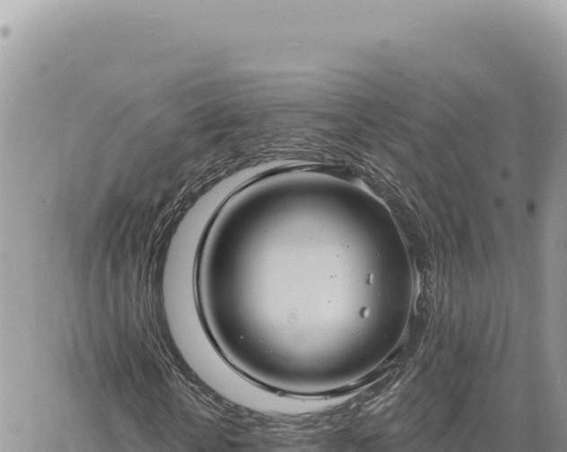 X0000060760818200511171145