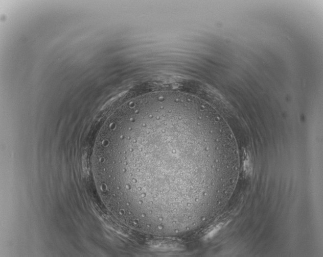 X0000060760819200511171145